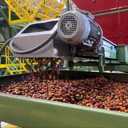 COLOMBIA HUILA Burbujas